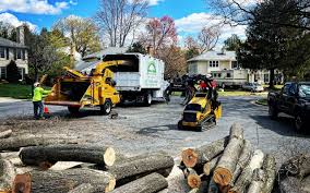 Reliable Pleasant Grove, OH  Tree Services Solutions