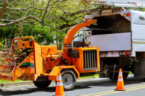 Best Commercial Tree Services  in Pleasant Grove, OH